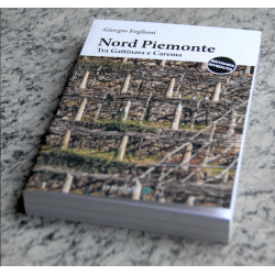 Northern Piedmont. Between Gattinara and Carema (Italian edition) by Giorgio Fogliani