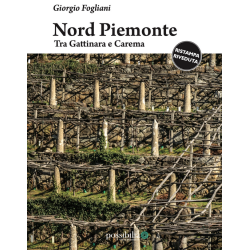 Northern Piedmont. Between Gattinara and Carema (Italian edition) by Giorgio Fogliani