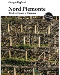 Northern Piedmont. Between Gattinara and Carema (Italian edition) by Giorgio Fogliani