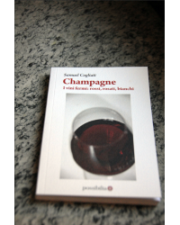 Champagne - Still wines: reds, rosés, whites | Samuel Cogliati
