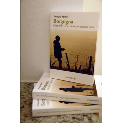 Borgogna, Côte d'Or : Il territorio, i vignaioli, i vini (Edizione in italiano) di François Morel