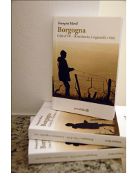 Borgogna, Côte d'Or : Il territorio, i vignaioli, i vini (Edizione in italiano) di François Morel