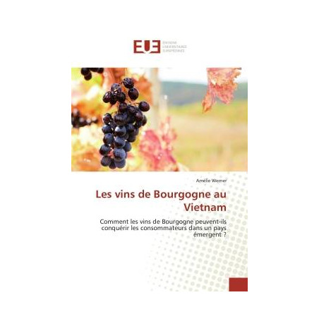 Burgundy Wines in Vietnam (French edition)