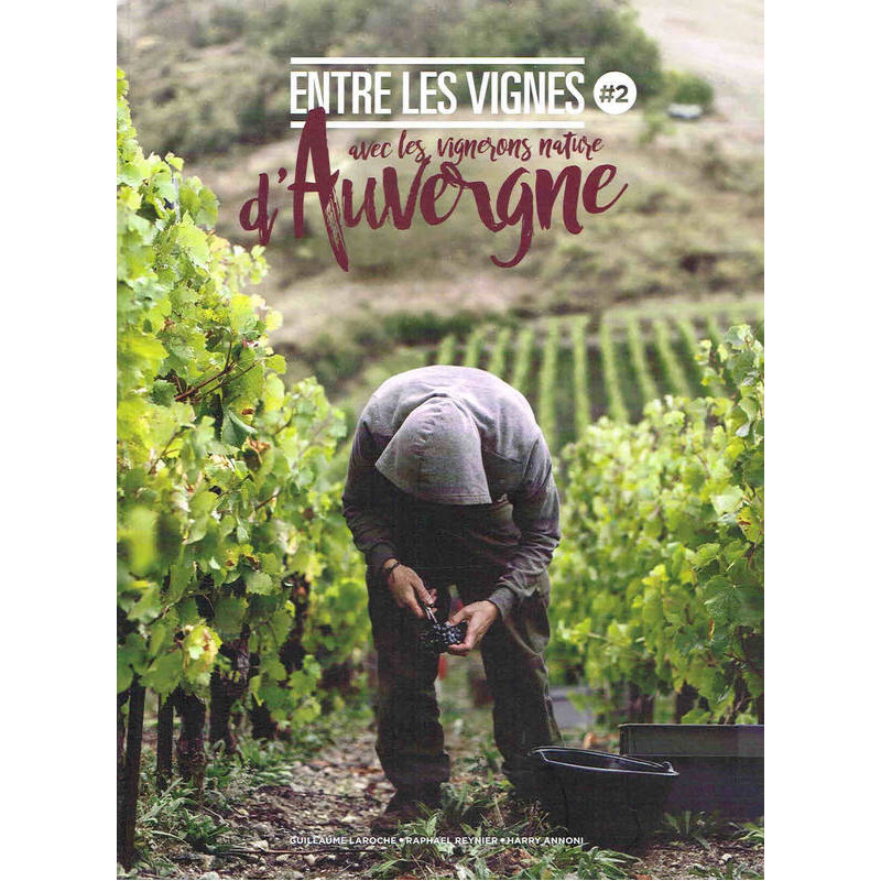 Among the vineyards n°2 | with the natural winemakers of Auvergne | Guillaume Larroche