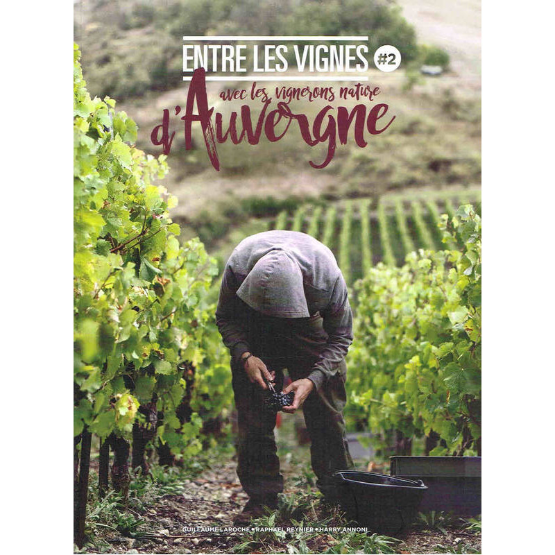 Entre les vignes n°2 | avec les vignerons nature d'Auvergne | Guillaume Larroche