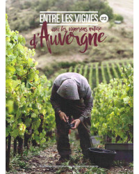 Entre les vignes n°2 | avec les vignerons nature d'Auvergne | Guillaume Larroche