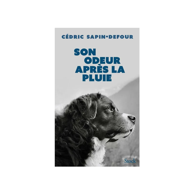 Son odeur après la pluie (La Bleue) (French Edition) eBook : Sapin-Defour,  Cédric: : Kindle Store