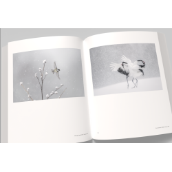 Vincent Munier, the monograph | Vincent Munier