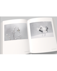 Vincent Munier, the monograph | Vincent Munier