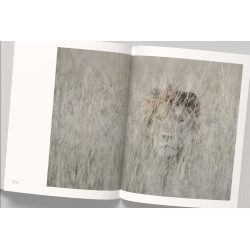 Vincent Munier, the monograph | Vincent Munier