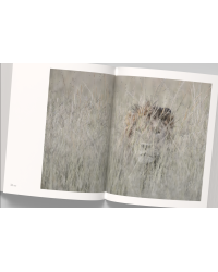 Vincent Munier, the monograph | Vincent Munier