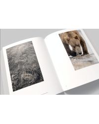 Vincent Munier, the monograph | Vincent Munier