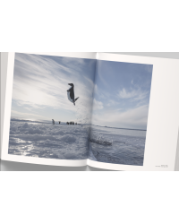 Vincent Munier, the monograph | Vincent Munier