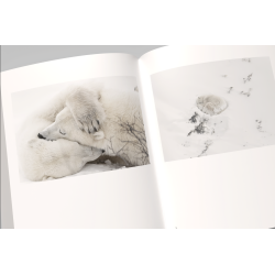 Vincent Munier, the monograph | Vincent Munier