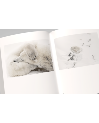 Vincent Munier, the monograph | Vincent Munier