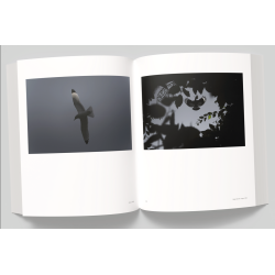 Vincent Munier, the monograph | Vincent Munier