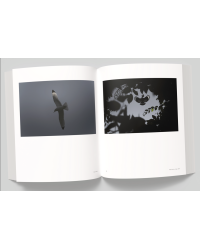 Vincent Munier, the monograph | Vincent Munier