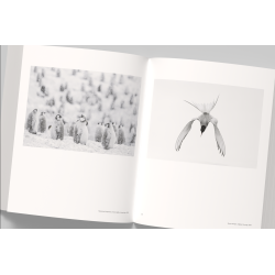 Vincent Munier, the monograph | Vincent Munier