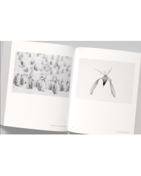 Vincent Munier, the monograph | Vincent Munier