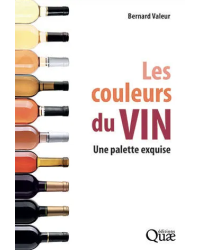 Les couleurs du vin : Une palette exquise | Bernard valeur