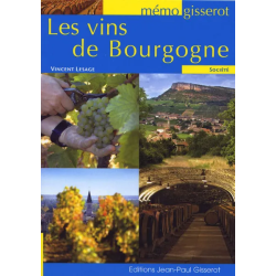 Les vins de Bourgogne | Vincent Lesage