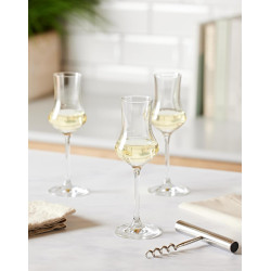 Spirit glass "Grappa Classico 155" | Schott Zwiesel