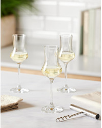 Spirit glass "Grappa Classico 155" | Schott Zwiesel