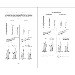 Changes to be made to Vine Pruning By René Lafon - EXVINUM