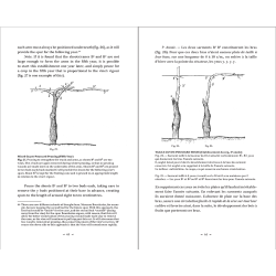 Changes to be made to Vine Pruning By René Lafon - EXVINUM