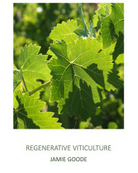 Regenerative Viticulture | Jamie Goode