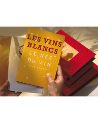 Le Nez du Vin: White wines and champagnes 12 aromas