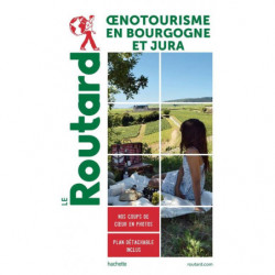 Rough Guide to Wine Tourism in Burgundy and Jura