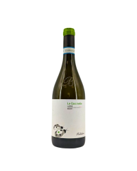 Langue bianco Blanc "Le Coccinelle" 2017 | Wine of the Domaine Brandini