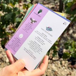 Practice the Grape Varieties: Flashcards of the Main Grape Varieties of the World (French version) | Amble Wine