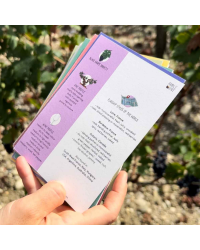 Practice the Grape Varieties: Flashcards of the Main Grape Varieties of the World (French version) | Amble Wine