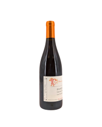 Bourgogne Hautes-Côtes de Nuits Rouge "Les Champs de Perdrix" 2019 | Wine of the Domaine Les Cocottes