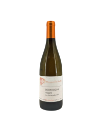 Bourgogne Aligoté Blanc "Les Fontenelles" 2021 | Wine of the Domaine Les Cocottes