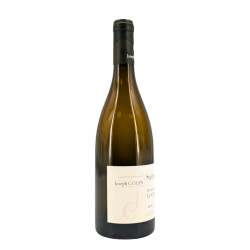Saint-Aubin Premier Cru Blanc "La Chatenière" 2021 | Wine from Domaine Joseph Colin