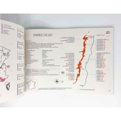 Amble Wine | Pratique les cartes des vins : France 2nd Edition (French Edition) 15 maps, 5 infographics, 90 grape varieties