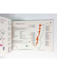 Amble Wine | Pratique les cartes des vins : France 2nd Edition (French Edition) 15 maps, 5 infographics, 90 grape varieties