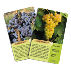 The Grape Variety Game (35 cards) | VioViva