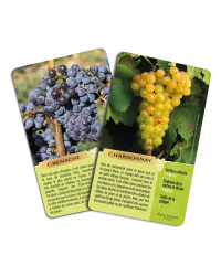 The Grape Variety Game (35 cards) | VioViva