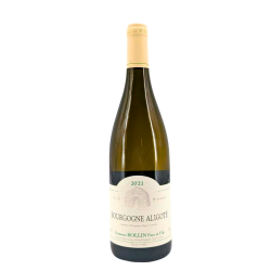 Bourgogne Aligoté Blanc 2021 | Wine from Domaine Rollin Père et Fils