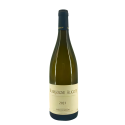 Bourgogne Aligoté Blanc 2021 | Vin du Domaine Anne Boisson