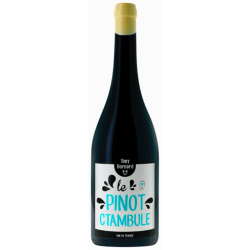 Vin de France Red "Le Pinot Ctambule" 2020 | Wine from Domaine Tony Bornard