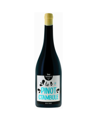 Vin de France Red "Le Pinot Ctambule" 2020 | Wine from Domaine Tony Bornard