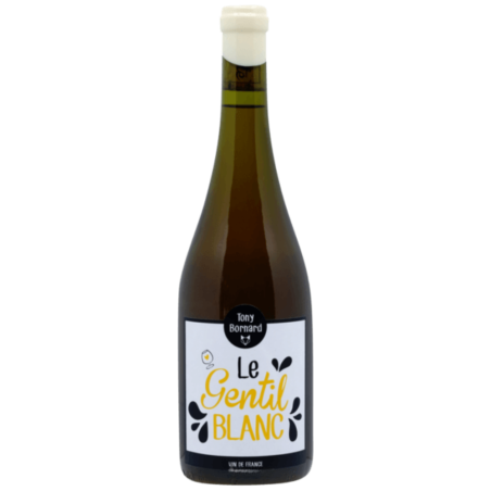 Vin de France Blanc Savagnin "Le Gentil Blanc" 2020 | Wine from Domaine Tony Bornard