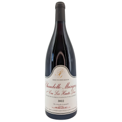 Chambolle-Musigny 1er Cru Red "Les hauts-Doix" 2022 | Wine from Domaine Peirazeau