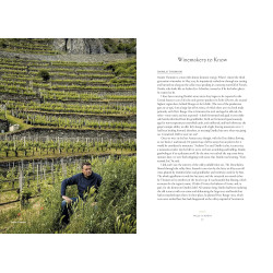 Vino: The Essential Guide to Real Italian Wine by Joe Campanale & Joshua David Stein