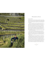 Vino: The Essential Guide to Real Italian Wine by Joe Campanale & Joshua David Stein